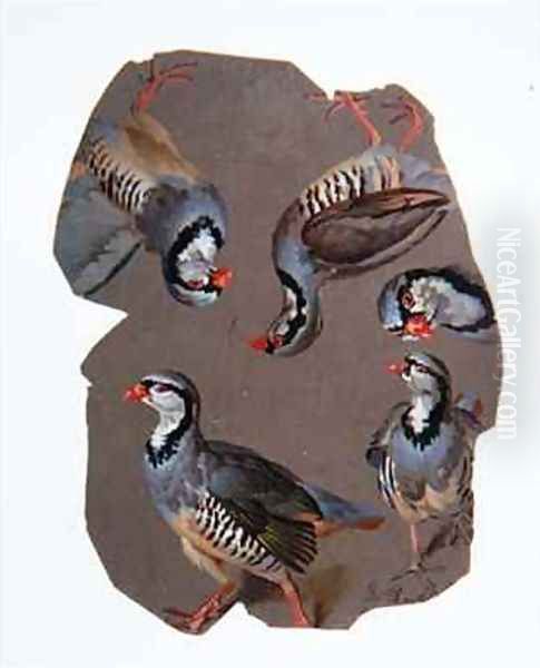 Sketch of Partridges - view 1
