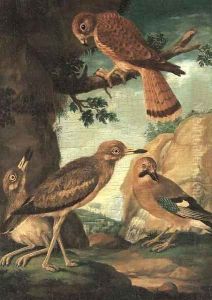 A chuff, hawk, sparrow and kestrel in a landscape by Ferdinand Phillip de Hamilton