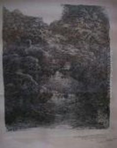 Paysage Et Sous-bois