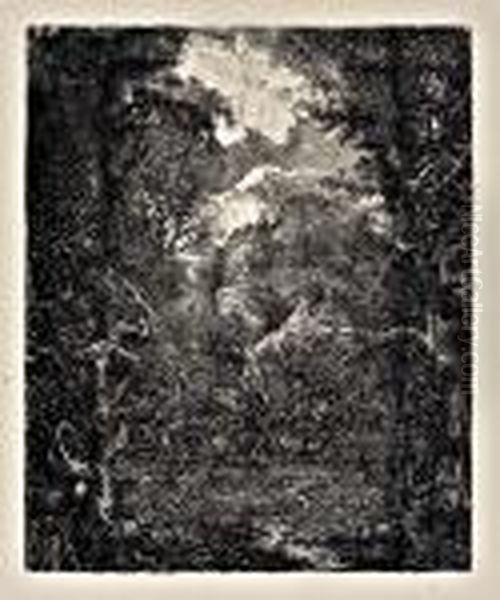 Untitled - view 1