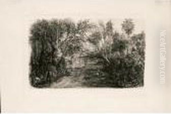 Le Cours D'eau (van Gelder 144) - view 1