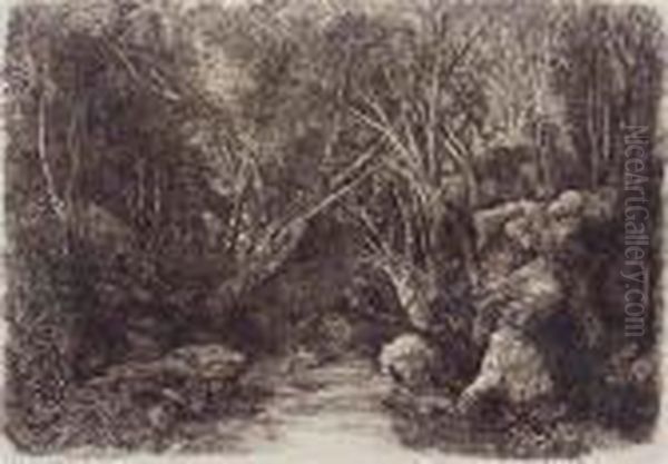 Ruisseau Sous-bois - view 1