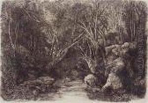 Ruisseau Sous-bois