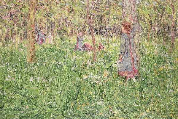 In the Wood - view 1
