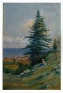Woman Seated On Grassy Slopes, Cape Porpoise, Maine Woman Seated On Grassy Slopes, Cape Porpoise, Maine