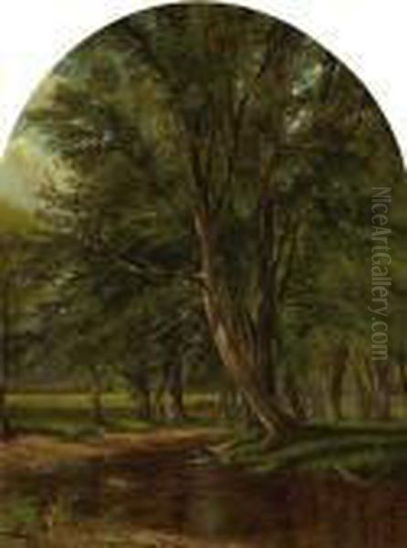 River Landscape - view 1