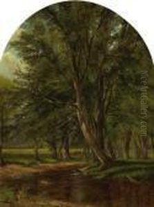 River Landscape