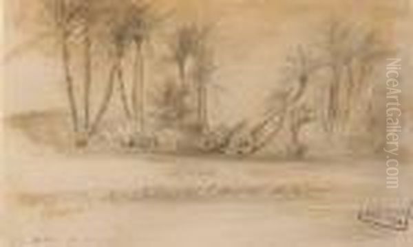 An Oasis - view 1