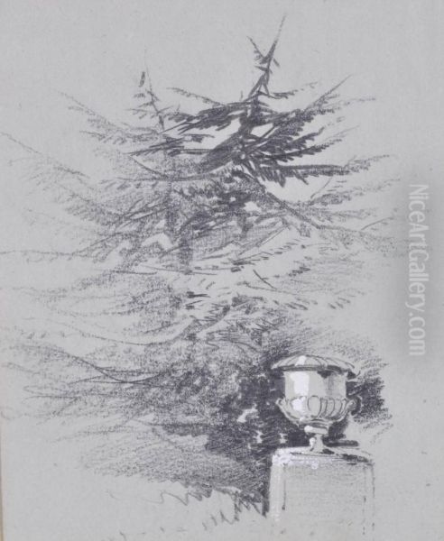 Heightened With White Garden Study - view 1
