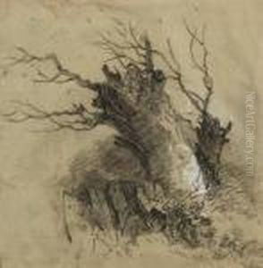 An Old Tree Trunk by Henry Bright
