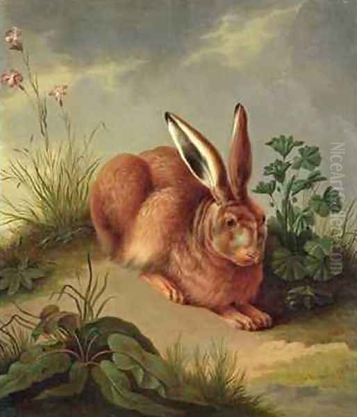 Hare - view 1