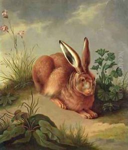 Hare