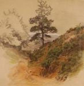 Tree In The Landscape Tree In The Landscape