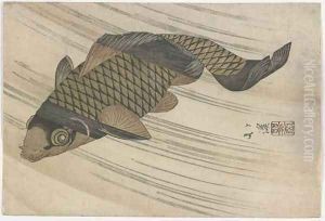 Carp Swimming Upstream Edo period by Toyota Hokkei