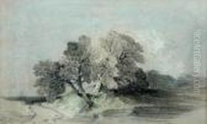 Studyof An Oak Tree
