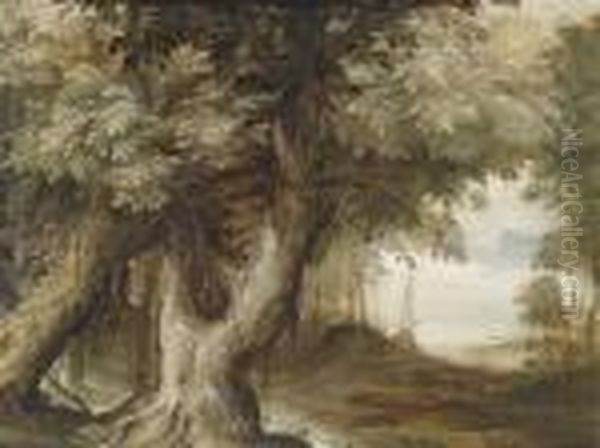 Wooded Landscape With A View Of Alake - view 1