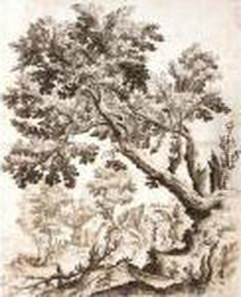 Rugged Landscape With Large Trees And A Bridge Over A Waterfall - view 1