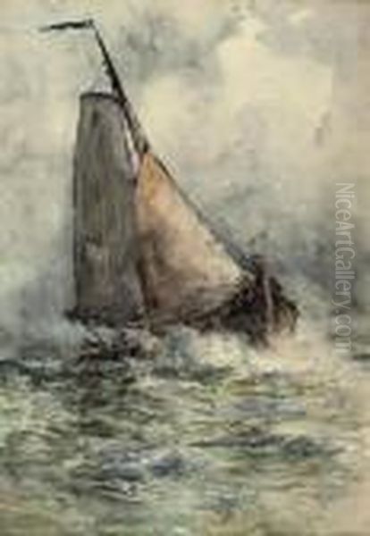 In The Zuyder Zee - view 1