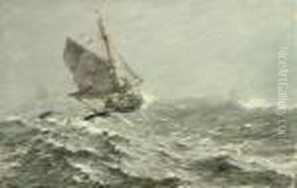The White Squall - view 1