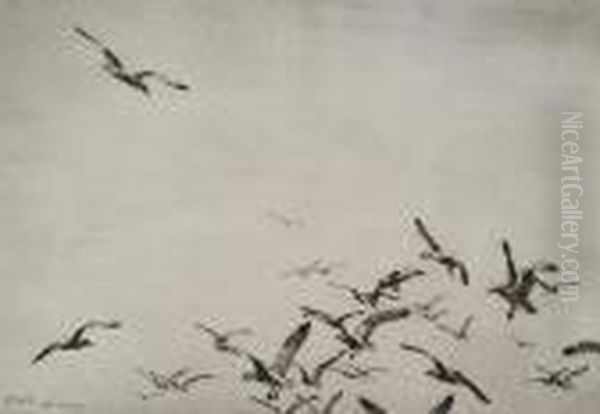 'gulls' 1934 - view 1