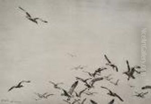 'gulls' 1934