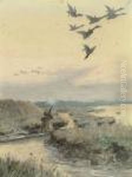 Duck Flighting - view 1