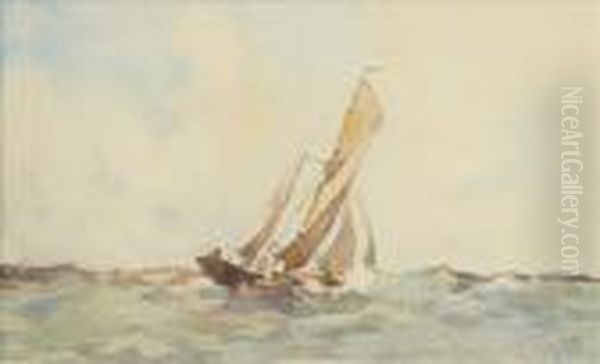 Small Schooners - view 1