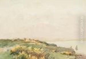 Brixham, Berry Head by Arthur John Trevor Briscoe