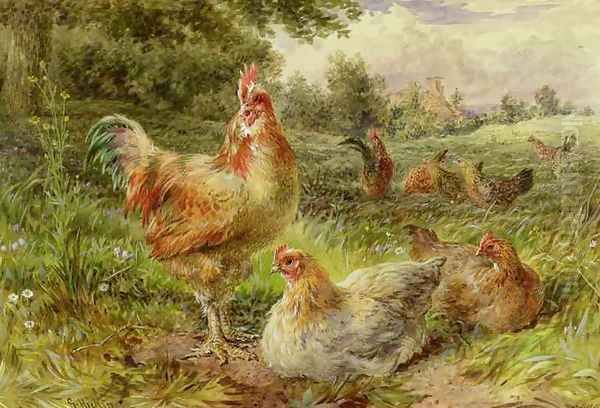 Cochin China Fowls - view 1
