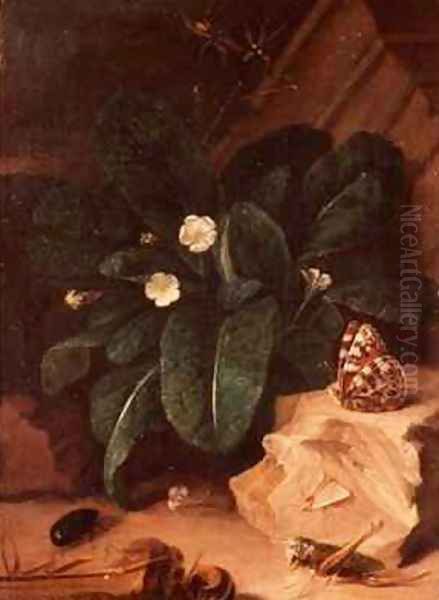 Still Life with Primroses and Insects - view 1