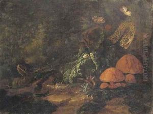 A forest floor still life with snakes, butterflies, snails, a grasshopper and a lizard by Carl Wilhelm de Hamilton