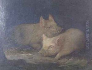 Two Prize Pigs in an Interior by John Rabone Harvey