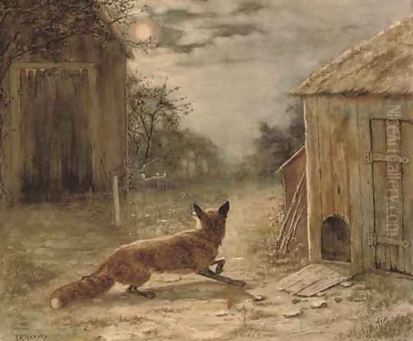 A nocturnal visitor - view 1