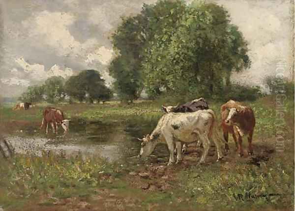 Cattle watering - view 1