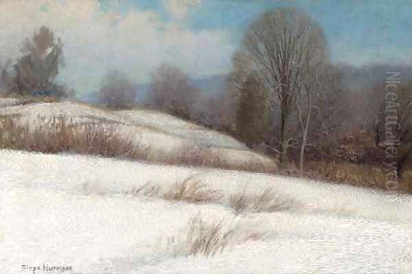 Winter Fields - view 1