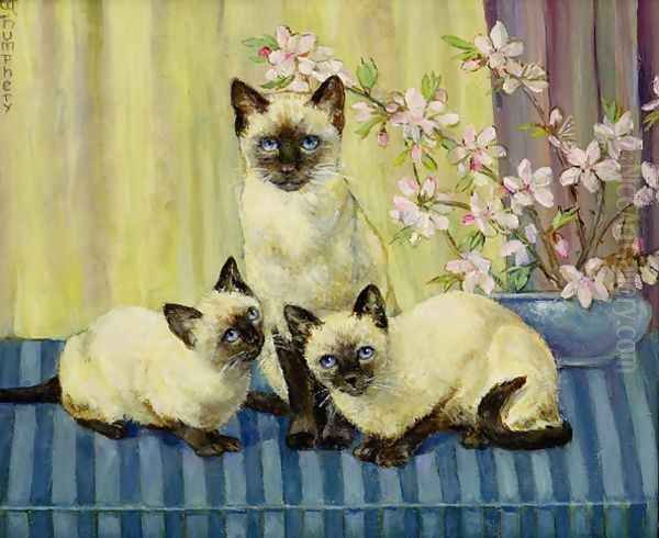 Three Siamese Cats - view 1