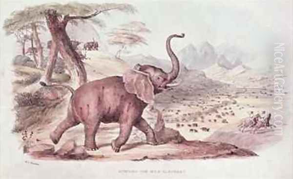 Hunting the Wild Elephant - view 1