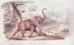 Hunting the Wild Elephant by William Cornwallis Harris