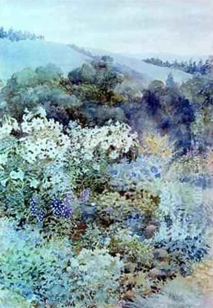 In a South African Garden - view 1