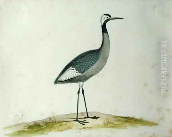A Crane - view 1