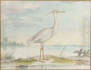 A white heron by Pieter the Younger Holsteyn