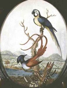 Lyrebird and Jay by William Hayes