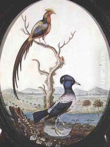 Golden Pheasant and Jay by William Hayes