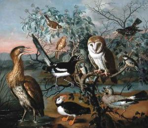 A Concert of Birds a Puffin Jay Great Tit Bittern Starling Magpie Yellowhammer Red Bunting and Barn Owl by Trajan Hughes