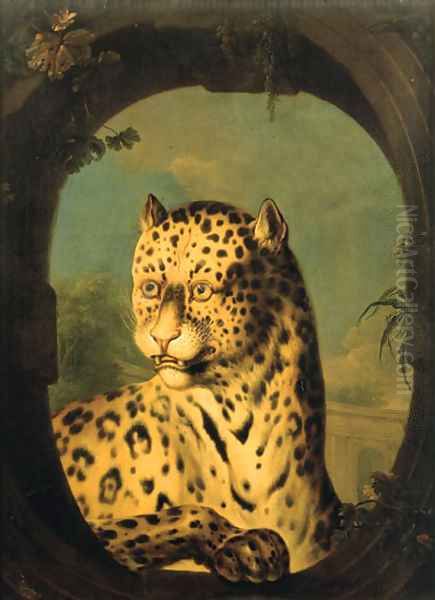 An ocelot - view 1