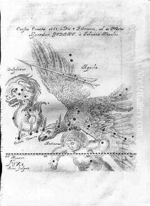 The Comet discovered and observed by Johannes Hevelius by Johannes Hevelius