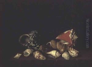 Still Life of Shells on a Ledge 2 by Louis Hubner