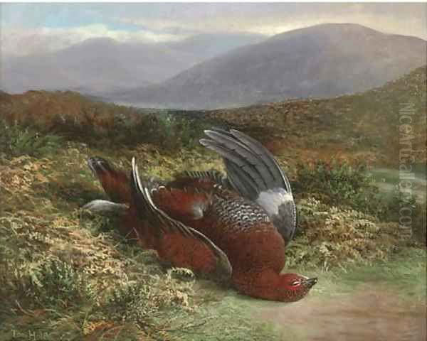 Dead grouse in a landscape - view 1