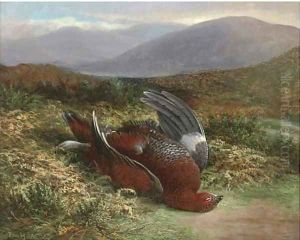 Dead grouse in a landscape Dead grouse in a landscape
