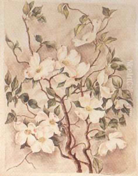 Flowering Dogwood - view 1